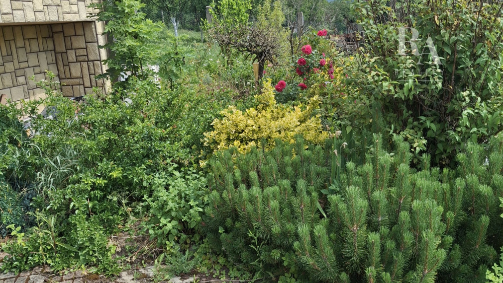 Predaj rodinný dom Sadočné