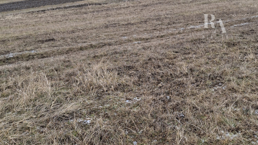 PREDAJ -ORNÁ Pôda RAJECKÁ LESNÁ