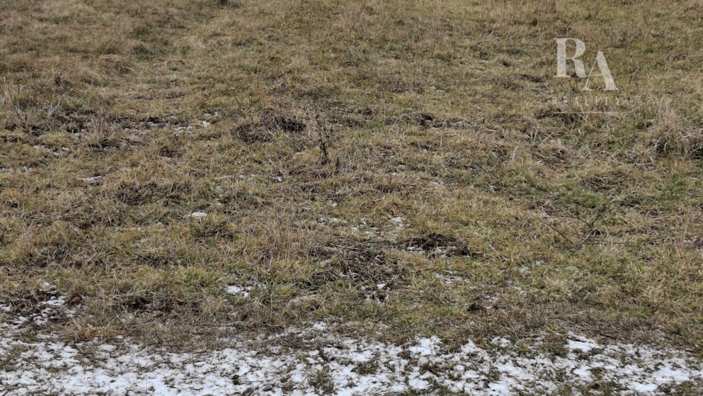 PREDAJ -ORNÁ Pôda RAJECKÁ LESNÁ