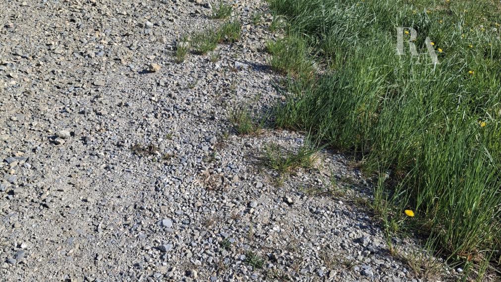 Predaj stavebný pozemok Kľače 1030 m2