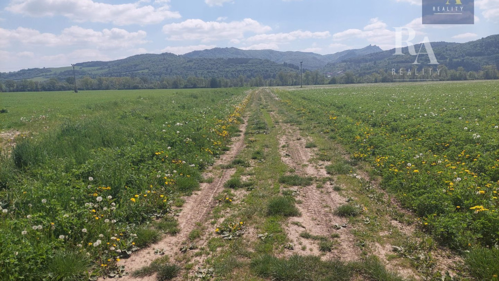 Predaj podielov na pozemkoch Hliník nad Váhom