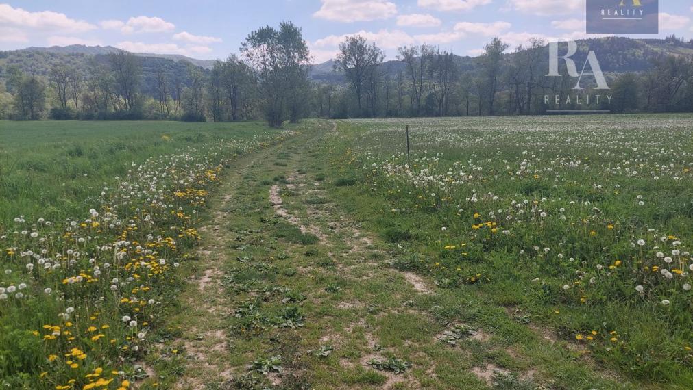 Predaj podielov na pozemkoch Hliník nad Váhom