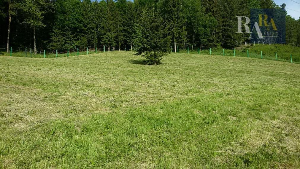 Predaj pozemok 7.930 m2 na rekreačné účely v obci Dolný Hričov