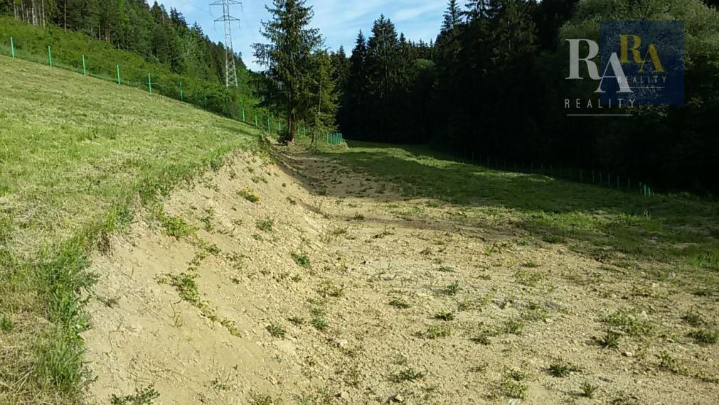 Predaj pozemok 7.930 m2 na rekreačné účely v obci Dolný Hričov