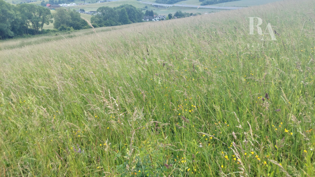 PREDAJ STAVEBNÝ POZEMOK OVČIARSKO + DOHODA