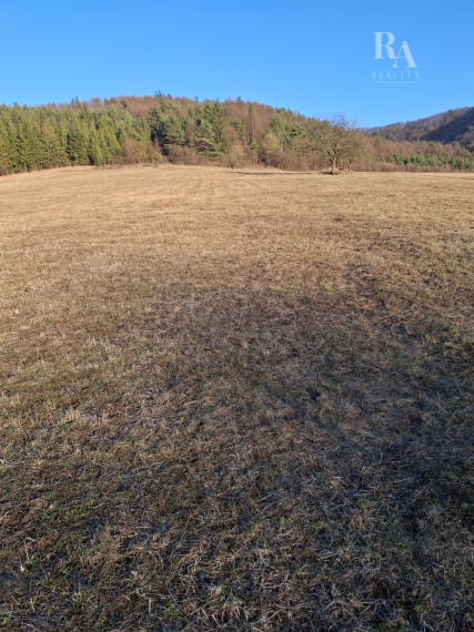 Predaj orná pôda Bodiná -3830 m2 - 5,00m2