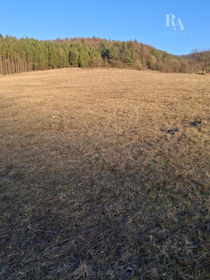 Predaj orná pôda Bodiná -3830 m2 - 5,00m2