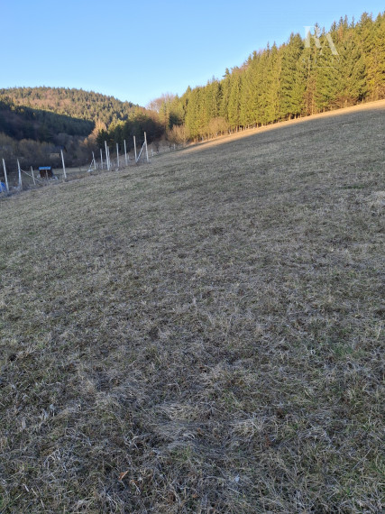 Predaj orná pôda Bodiná -3830 m2 - 5,00m2