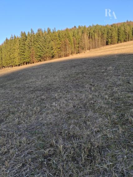 Predaj orná pôda Bodiná -3830 m2 - 5,00m2