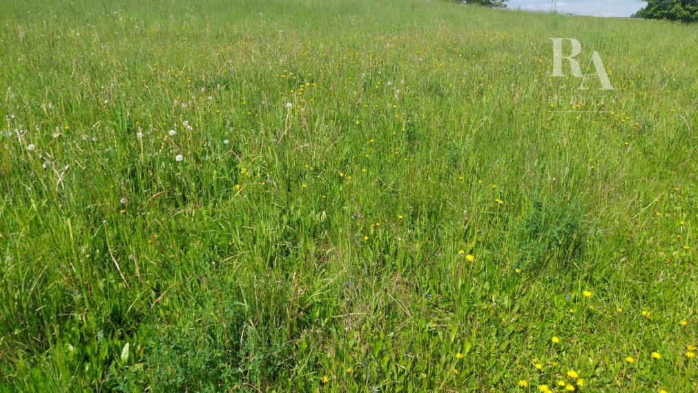 STAVEBNÝ POZEMOK VIŠŇOVÉ NA VÝSTAVBU 8 RODINNÝCH DOMOV