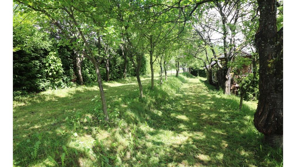 PREDAJ CHATY S VEĽKÝM POZEMKOM BELÁ - ZLIEŇ