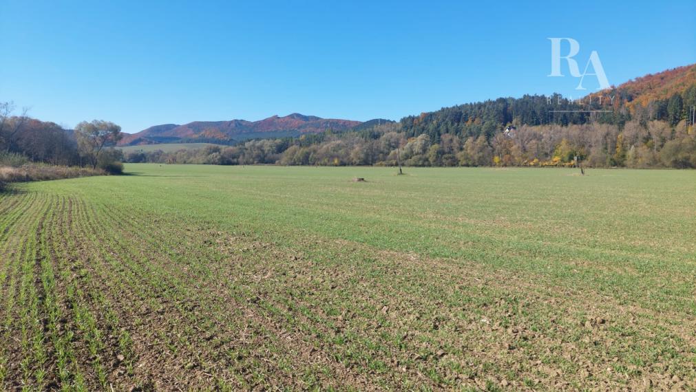 PREDAJ POZEMOK RAJECKÉ TEPLICE