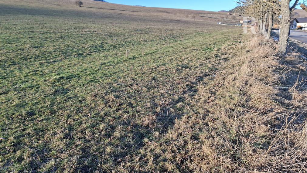 STAVEBNÝ POZEMOK ZBYŇOV