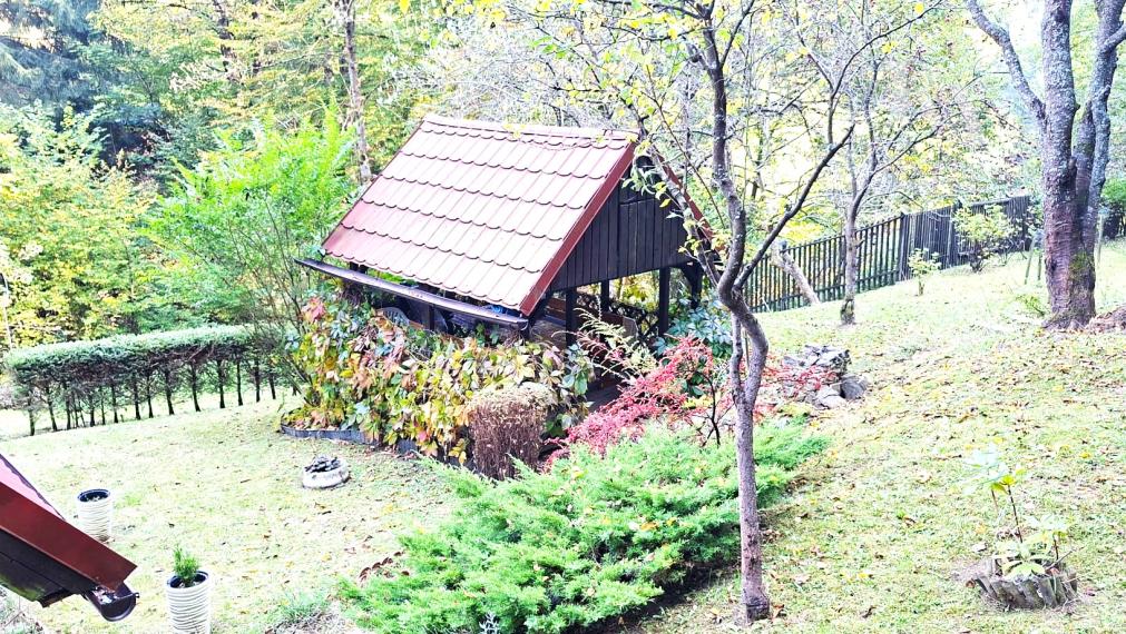 PREDAJ DREVENICA VEĽKÉ ROVNÉ - EXKLUZÍVNE