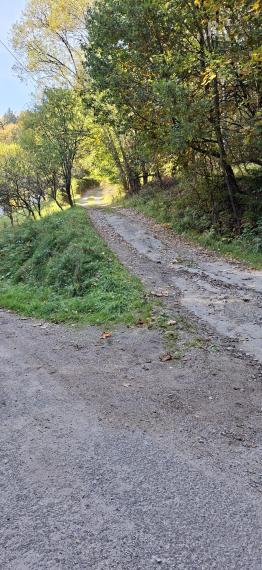 PREDAJ DREVENICA VEĽKÉ ROVNÉ - EXKLUZÍVNE
