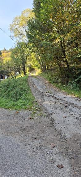 PREDAJ DREVENICA VEĽKÉ ROVNÉ - EXKLUZÍVNE