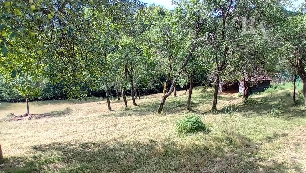 Predaj 2 chát a hospodárskeho domčeka na slnečnom pozemku 7 850 m² vo Veľkom Rovnom