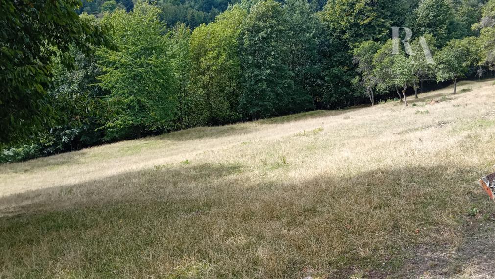 Predaj 2 chát a hospodárskeho domčeka na slnečnom pozemku 7 850 m² vo Veľkom Rovnom
