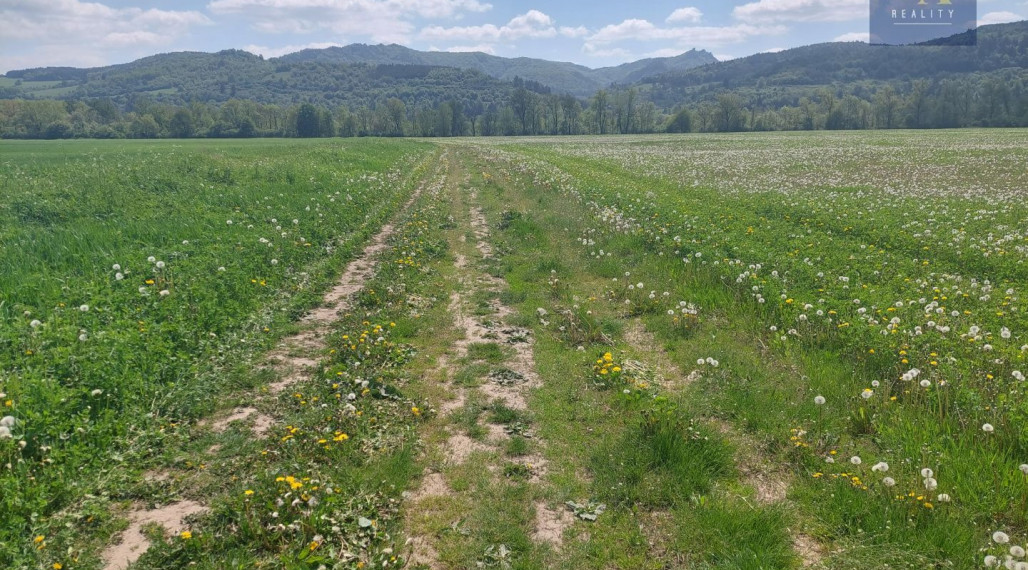 Predaj podielov na pozemkoch Hliník nad Váhom