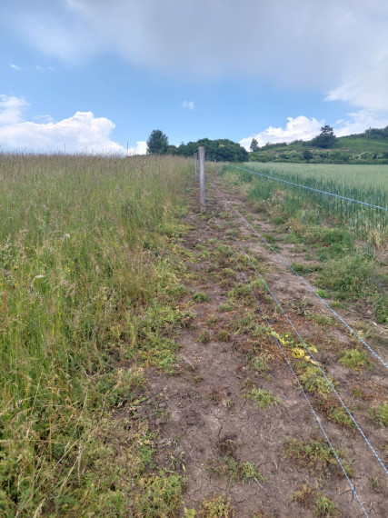 PREDAJ STAVEBNÝ POZEMOK OVČIARSKO + DOHODA