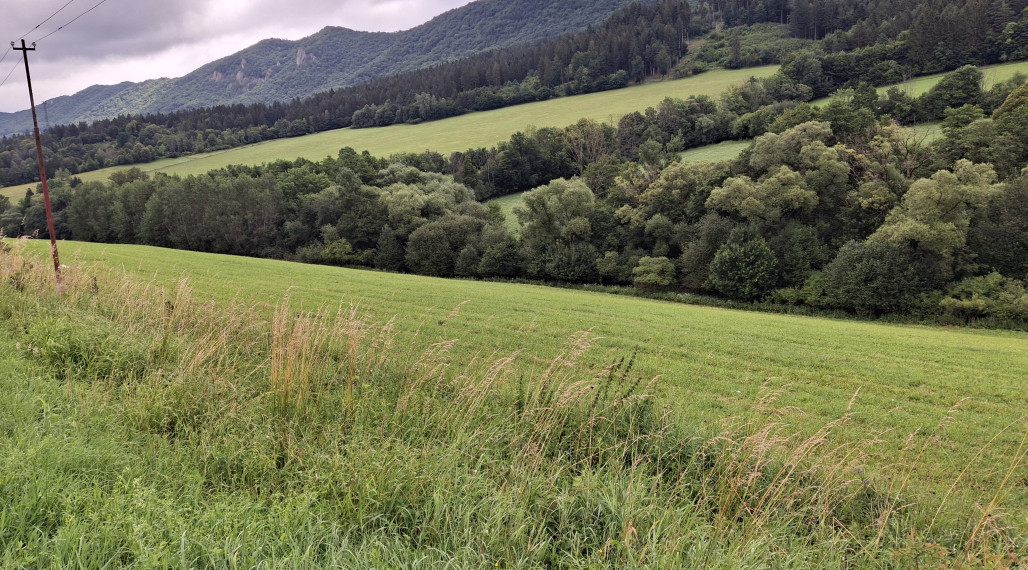 Predaj orná pôda Súľov-Hradná 7898m2