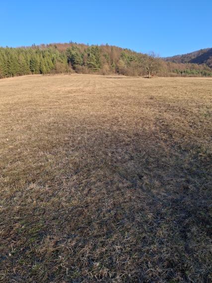 Predaj orná pôda Bodiná -3830 m2 - 5,00m2