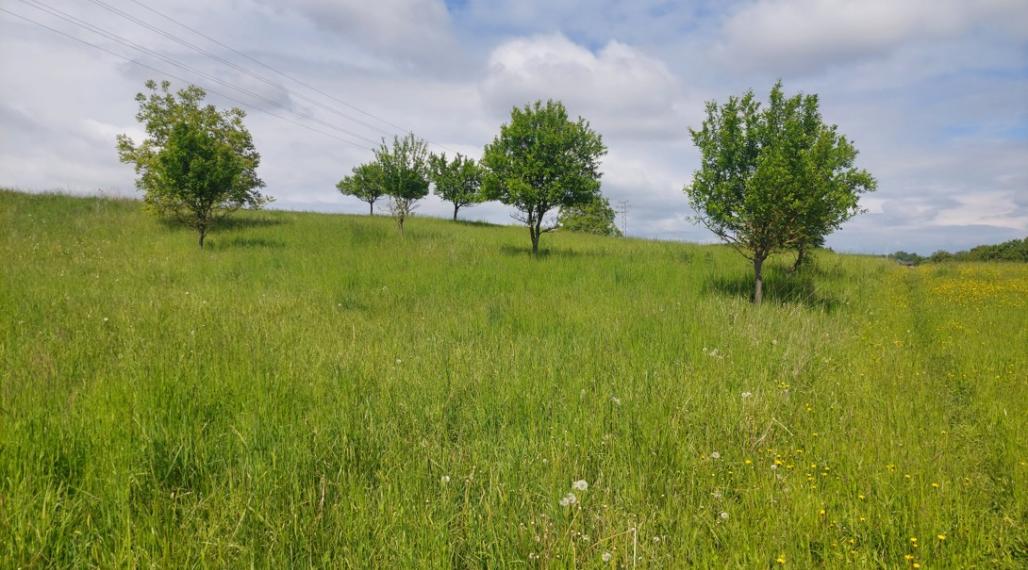 STAVEBNÝ POZEMOK VIŠŇOVÉ NA VÝSTAVBU 8 RODINNÝCH DOMOV