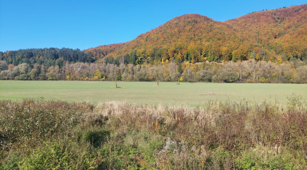 PREDAJ POZEMOK RAJECKÉ TEPLICE