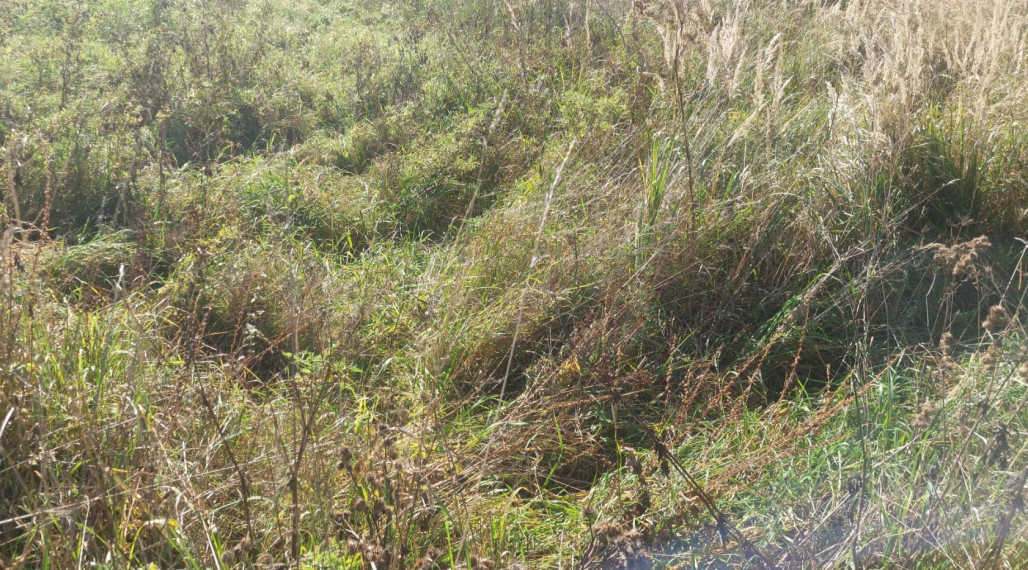 PREDAJ STAVEBNÝ POZEMOK NA VÝSTAVBU