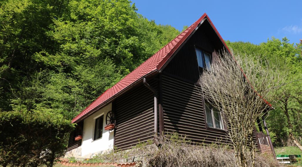 PREDAJ DREVENICA VEĽKÉ ROVNÉ - EXKLUZÍVNE
