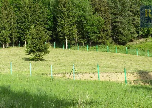 Predaj pozemok 7.930 m2 na rekreačné účely v obci Dolný Hričov