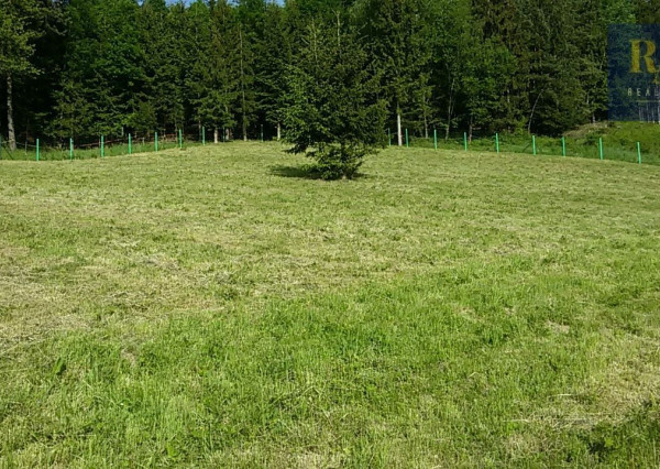 Predaj pozemok 7.930 m2 na rekreačné účely v obci Dolný Hričov