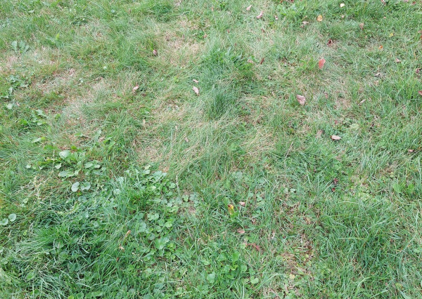 Predám podiely na pozemkoch Čadca - Horelica