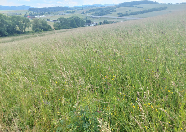 PREDAJ STAVEBNÝ POZEMOK OVČIARSKO + DOHODA