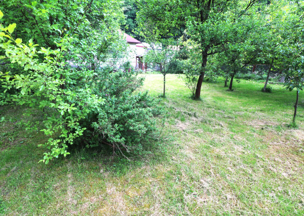 RODINNÝ DOM DIVINKA S POZEMKOM 1260 M2
