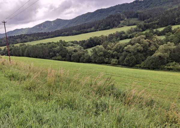 Predaj orná pôda Súľov-Hradná 7898m2