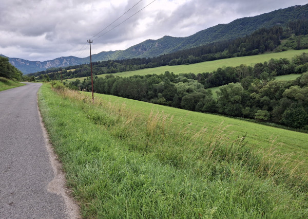 Predaj orná pôda Súľov-Hradná 7898m2