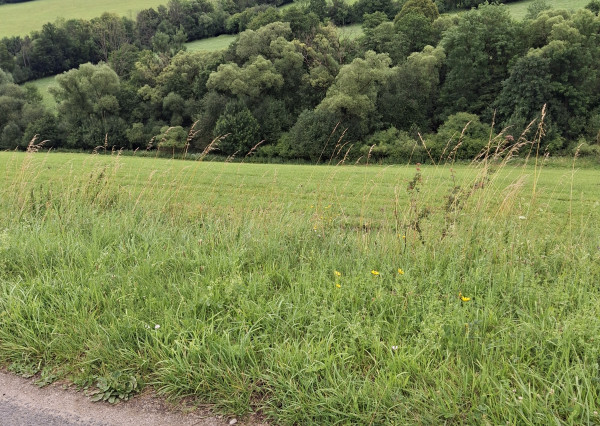 Predaj orná pôda Súľov-Hradná 7898m2