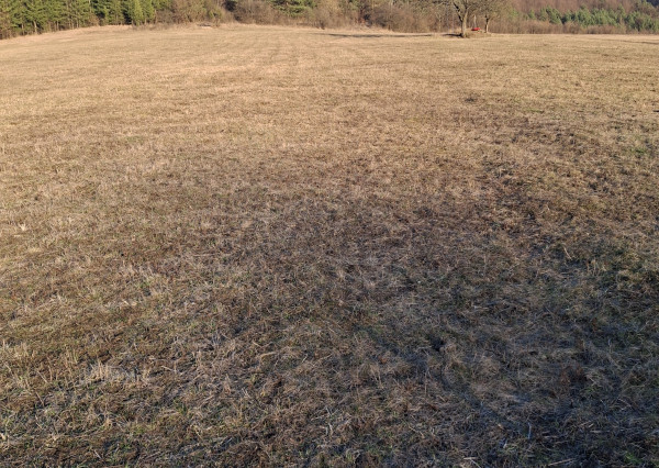 Predaj orná pôda Bodiná -3830 m2 - 5,00m2