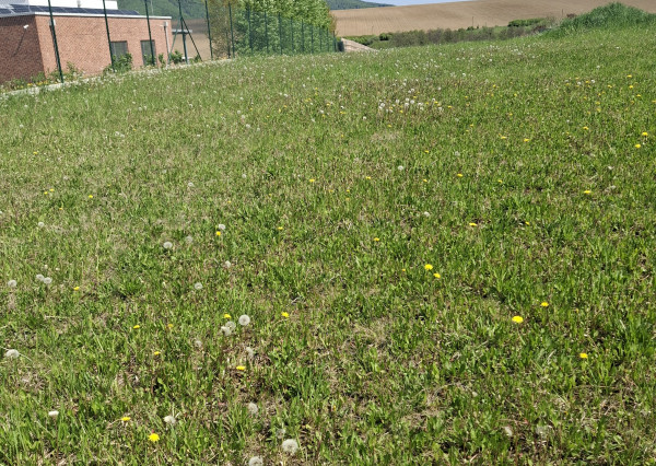 Predaj stavebný pozemok Kľače 589 m2