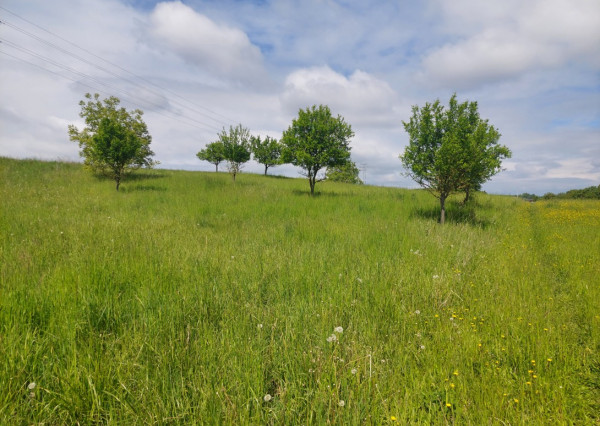 STAVEBNÝ POZEMOK VIŠŇOVÉ NA VÝSTAVBU 8 RODINNÝCH DOMOV