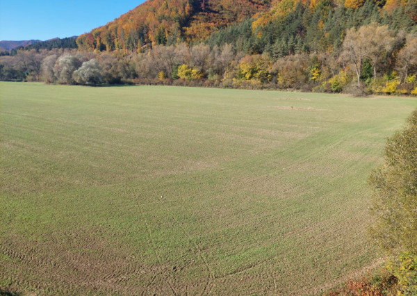 PREDAJ POZEMKU RAJECKÉ TEPLICE