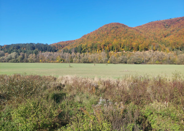 PREDAJ POZEMOK RAJECKÉ TEPLICE