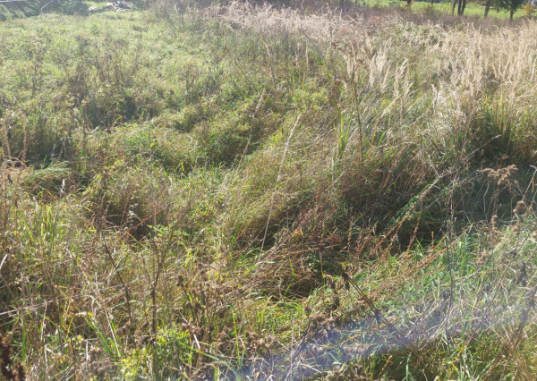 PREDAJ STAVEBNÝ POZEMOK NA VÝSTAVBU