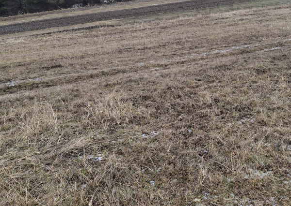 PREDAJ -ORNÁ Pôda RAJECKÁ LESNÁ