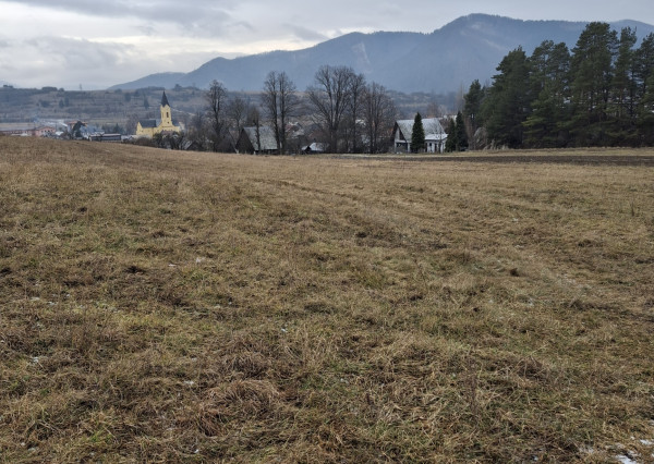 PREDAJ -ORNÁ Pôda RAJECKÁ LESNÁ
