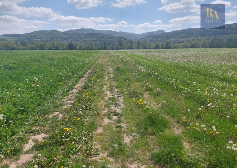 Predaj podielov na pozemkoch Hliník nad Váhom - fotografia 1