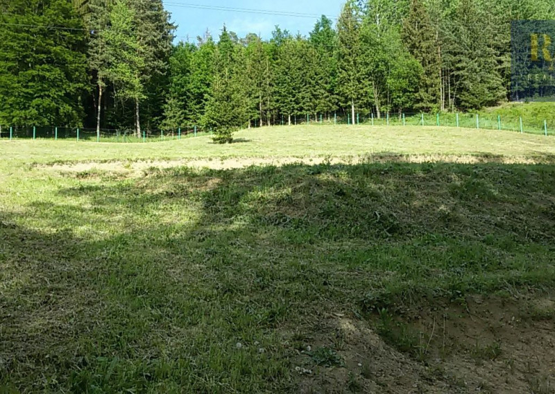Predaj pozemok 7.930 m2 na rekreačné účely v obci Dolný Hričov - fotografia 1