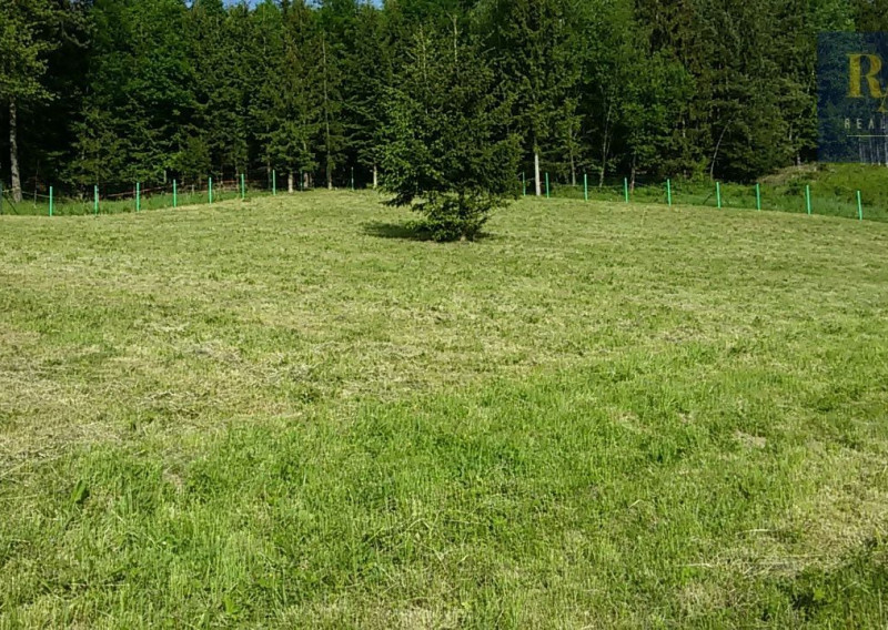 Predaj pozemok 7.930 m2 na rekreačné účely v obci Dolný Hričov - fotografia 3