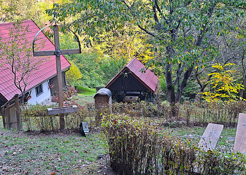 PREDAJ DREVENICA VEĽKÉ ROVNÉ - EXKLUZÍVNE - fotografia 1
